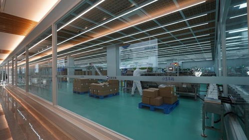 未來生物 以卓越品質與專業服務，鑄就生物技術開發領域的信賴之選