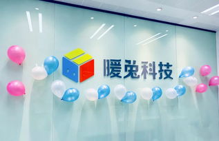 廈門暖兔科技前端工程師招聘 工程技術(shù)咨詢服務領(lǐng)域的挑戰(zhàn)與機遇